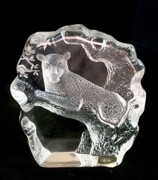 Mats Jonasson Etched Crystal Lead glass sculpture - gorgeous Mountain Lion 3