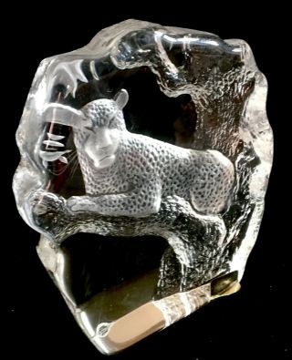 Mats Jonasson Etched Crystal Lead glass sculpture - gorgeous Mountain Lion 4