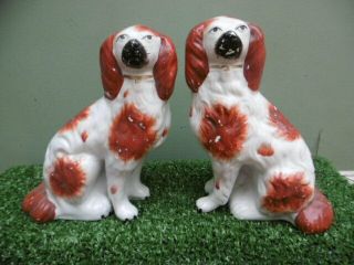 Pr 19thc Staffordshire Red & White Spaniel Dogs Separate Front Leg C.  1860