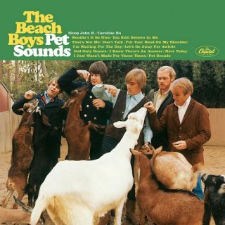 The Beach Boys Pet Sounds Banner Huge 4x4 Ft Fabric Poster Tapestry Flag Art