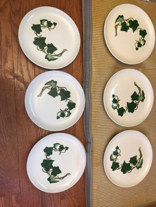 6 Metlox Poppy Trail California Ivy Dinner Plate Plates 10 3/8 Inch