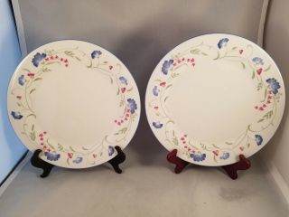 Set Of 2 Royal Doulton Windermere (expressions) Dinner Plates