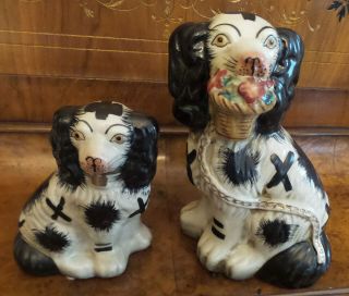 Two Stafordshire Like Black And White Dogs Holding A Basket Figurines