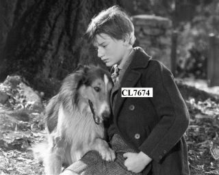 Lassie And Roddy Mcdowall In The Movie 
