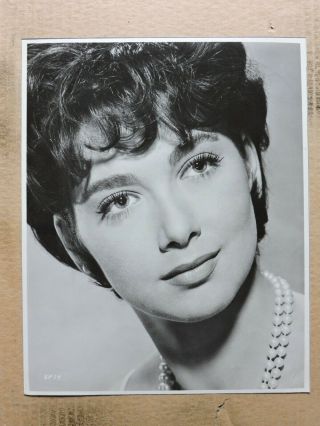 Suzanne Pleshette Studio Portrait Photo 1960 