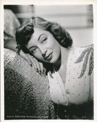 Marie Windsor 1940s Mgm 8 X 10 Lovely Glamour Press Photo Vv