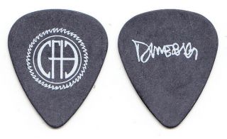 Pantera Dimebag Darrell Signature Cowboys From Hell Gray Guitar Pick - 1994 Tour