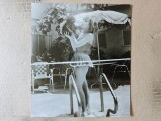 Edie Adams With A Mini Poodle Orig Leggy Candid Swimsuit Portrait Photo 1960 