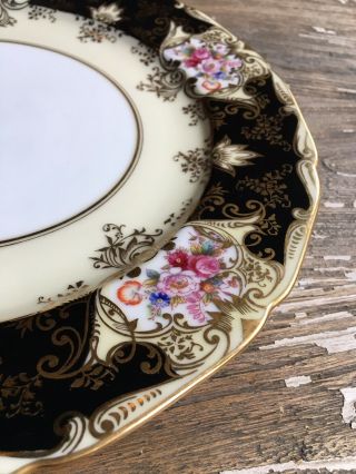 Vintage Noritake China Rare Floral Pattern M Crown Backstamp 10 " Dinner Plates