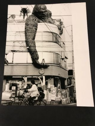 King Kong In Tokyo Orginial Movie 8 X 10 Photo Alan Band 1980’s