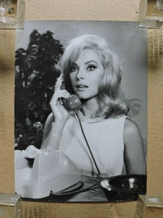 Virna Lisi On The Telephone Candid Portrait Photo 1965 Oggi,  Domani.