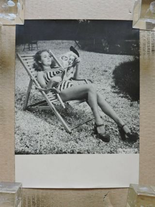 Jacqueline Gauthier Leggy Bikini Pinup Portrait Photo By Cabutti 1940 