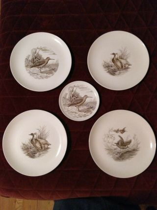 5 Antique Copeland Spode Bird Plates