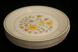10 Corelle Spring Meadow 8.  5” Luncheon Salad Plates