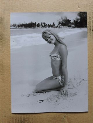 Susie Mueller Kneeling Leggy Bikini Pinup Portrait Photo By Lothar Winkler 60 