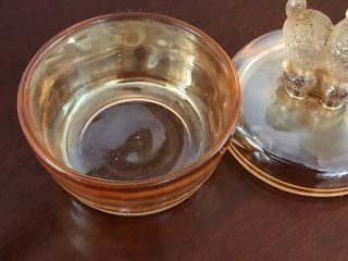 Poodle 1940’s JEANNETTE Marigold Carnival Glass Poodle Powder Jar/Trinket Box 3