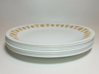 Set of 8 Vintage Corelle Butterfly Gold 8.  5 in.  Luncheon Salad Plates Corning 3