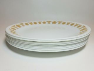 Set of 8 Vintage Corelle Butterfly Gold 8.  5 in.  Luncheon Salad Plates Corning 4