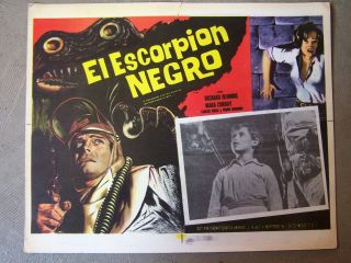 Black Scorpion Mexican Lobby Card Richard Denning Mara Corday