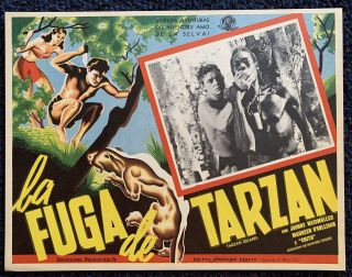 Tarzan Ecapes Johnny Weissmuller Maureen O 