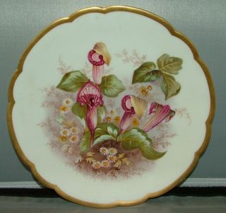 M Redon Limoges 8 - 1/2 " Hand Painted Plate