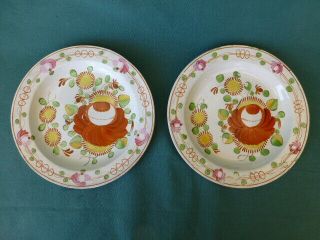 Two Antique Staffordshire Soft Paste Kings Rose Plates