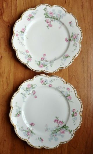 Pair Haviland Limoges 9.  5 " Dinner Plates Pink Drop Roses Double Gold Scalloped