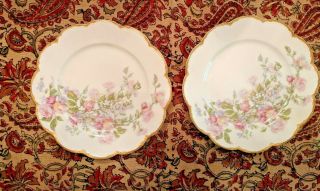 2 Haviland Limoges Plates Ornate Decoration Lilacs And Roses Dulin & Martin D.  C.