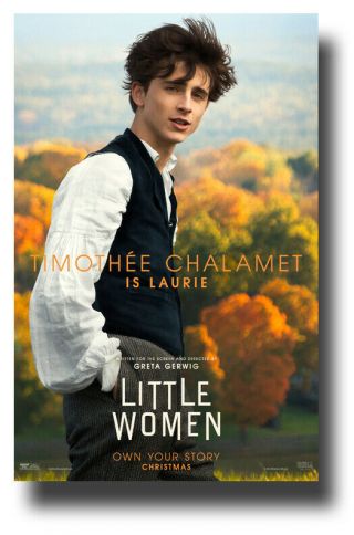 Timothee Chalamet Poster Movie 11 " X17 " Little Women 2019 Usa Sameday Ship