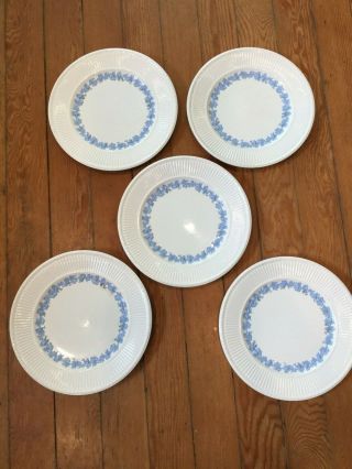 5 Wedgwood Embossed Queensware Blue On Cream Raised Dinner Plates 10.  5 "