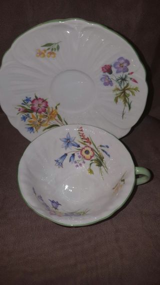 Shelley English Bone China Tea Cup & saucer Oleander Wild Flowers 2