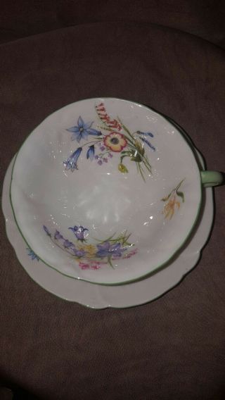Shelley English Bone China Tea Cup & saucer Oleander Wild Flowers 6