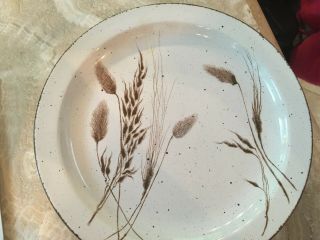 6 Midwinter Stonehenge Wild Oats Dinner Plates 10.  5 " Stoneware By Wedgewood
