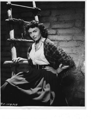Donna Reed Alluring 8 X 10 Portrait Photo By Crosby