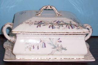 1891 - 1912 John Maddock & Sons Royal Semi Porcelain Covered Serving Dish And Tray