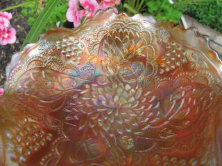 FENTON LOTUS & GRAPE ANTIQUE CARNIVAL ART GLASS Footed Bowl Flowers MARIGOLD 3