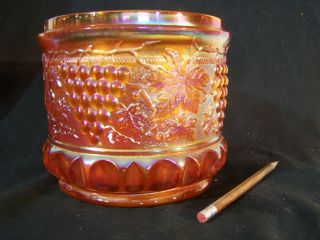 Huge Antique Northwood Carnival Glass Marigold Grape &cable Humidor Biscuit Jar