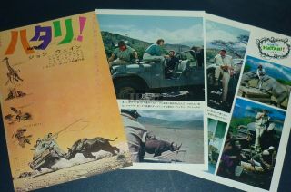 John Wayne Elsa Martinelli Hatari 1962 Japan Movie Ad & Picture Clippings Ec/o