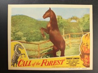 COMPLETE SET of EIGHT 1949 WESTERN MOVIE LOBBY CARDS CALL OF THE FOREST 2
