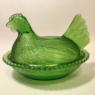 Lime Green Indiana Hen On Nest