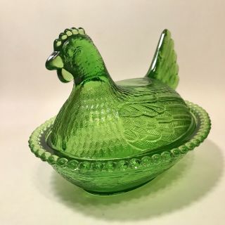 Lime Green Indiana Hen On Nest 2