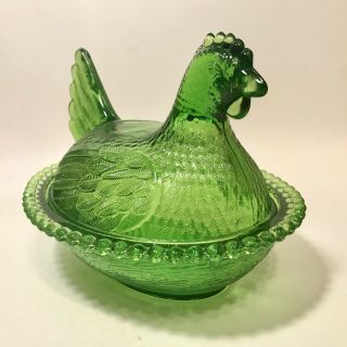 Lime Green Indiana Hen On Nest 3