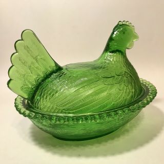 Lime Green Indiana Hen On Nest 4