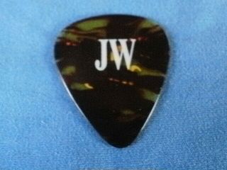 Eagles Joe Walsh Guitar Pick Pick Authentic 2003 Tour