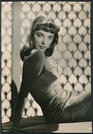 1955 Photo Joan Collins Rare Early Young Portrait Of The Bitch