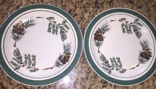 Ll Bean Evergreen Set 11 " Dinner Plates Featuring Christmas Holly Pine Cones S2