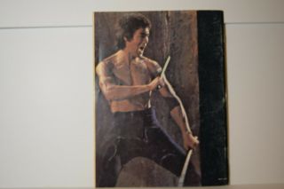 Bruce Lee 1940 - 1973 Book 2