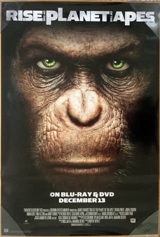 Rise Of The Planet Of The Apes Dvd Movie Poster Ss 27x40 James Franco