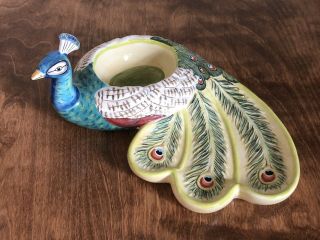 Tracy Porter Hand Painted Peacock Bird Chip And Dip Serving Tray Party Platter