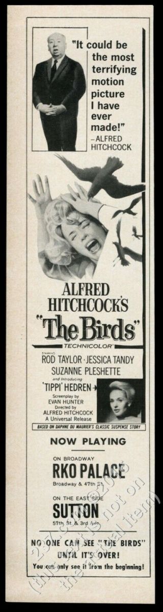 1963 Alfred Hitchcock Photo The Birds Movie Unusual Nyc Theatre Vintage Print Ad